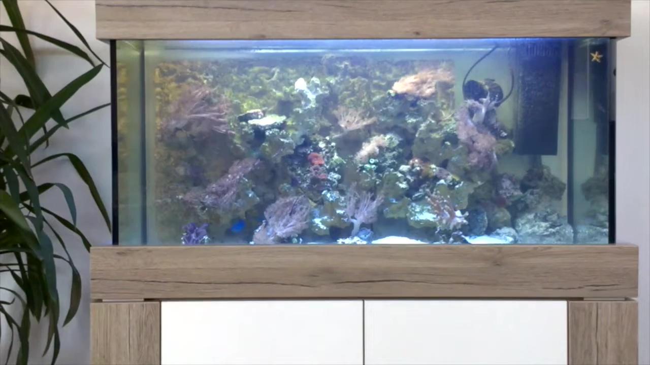 Solution image 2